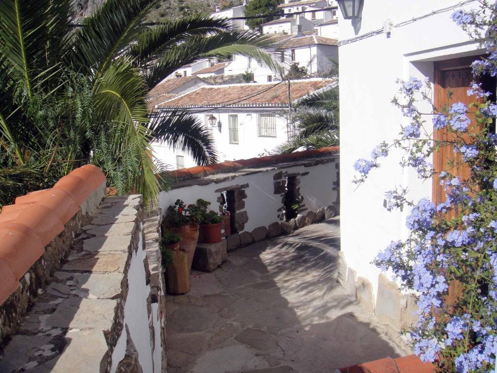 Apartamentos Buganvilla Villaluenga Del Rosario Δωμάτιο φωτογραφία